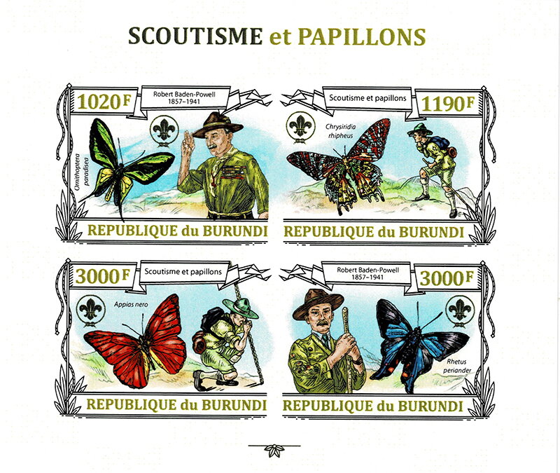 Scouts and Butterflies