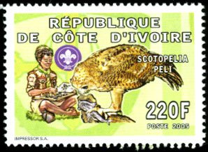 Pel's Fishing Owl (Scotopelia peli)