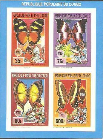 Butterflies