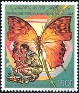Forest Pearl Charaxes (Charaxes fulvescens)