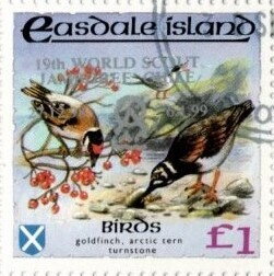 Birds - silver overprint
