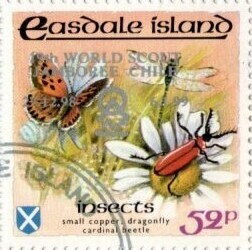 Butterfly, Insects - silver overprint