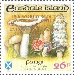 Fungi - gold overprint