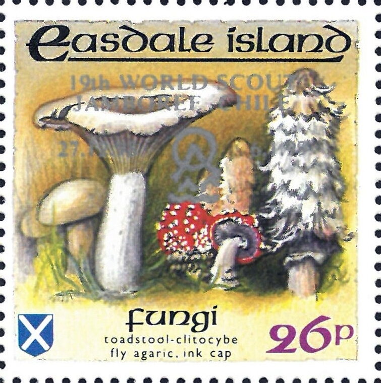 Fungi - silver overprint