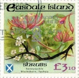 Shrubs - silver overprint