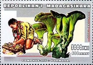 Gomphus formosa