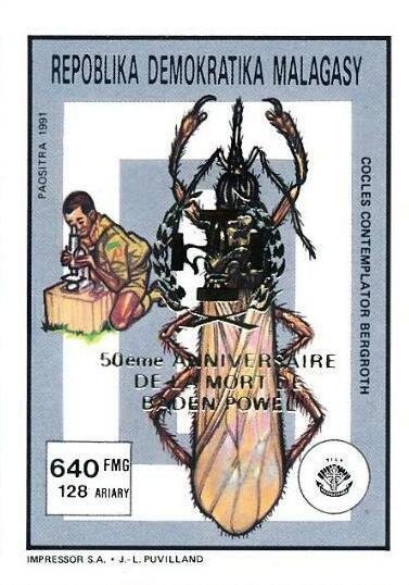 Long-Nec Stink Bug (Cocles contemplator)