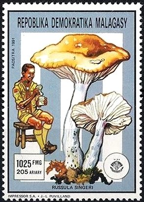 Russula singeri