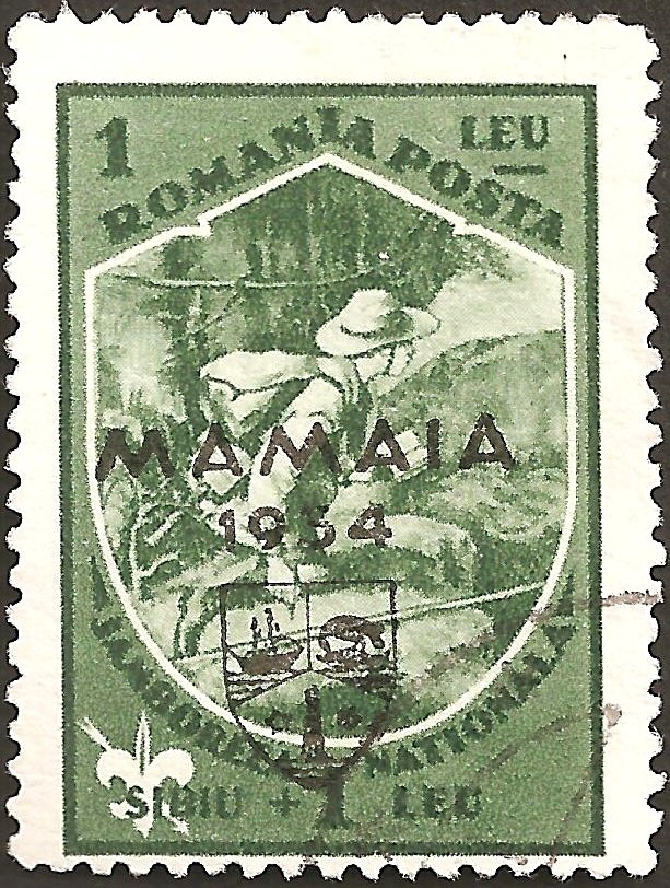 Scout tracking — 1 + 1 lei, Mamaia OP