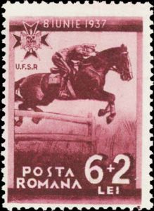 Showjumping — 6 + 2 L