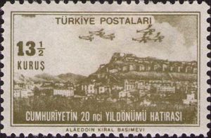 Non-scout companion — View of Ankara