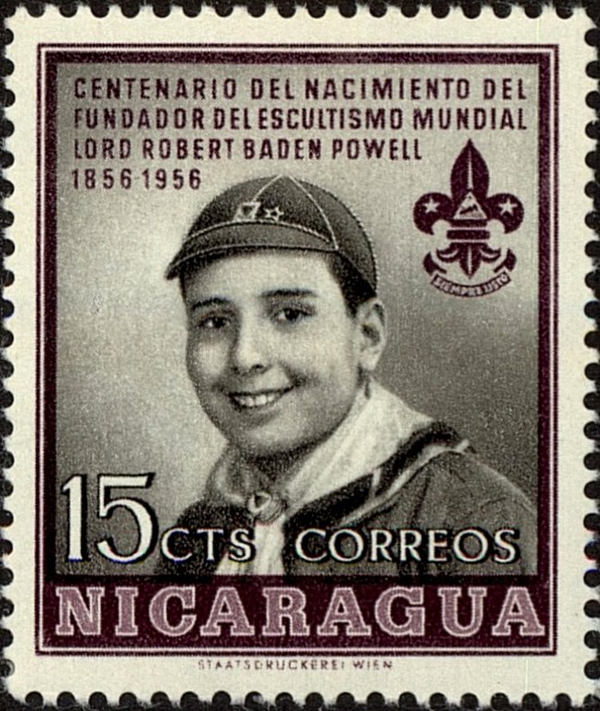 Cub Scout — 15 c