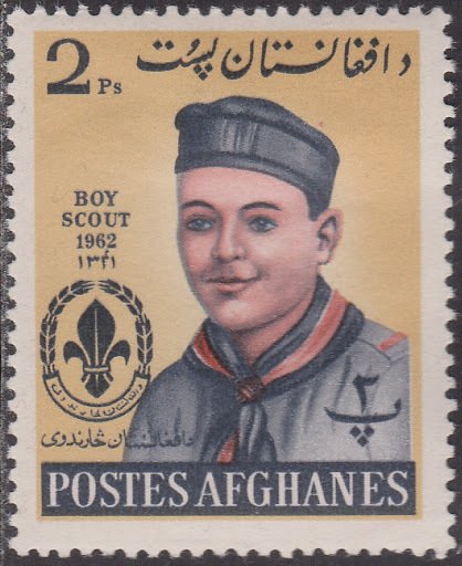 Boy Scout portrait