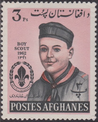 Boy Scout portrait