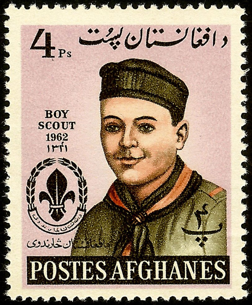 Boy Scout portrait