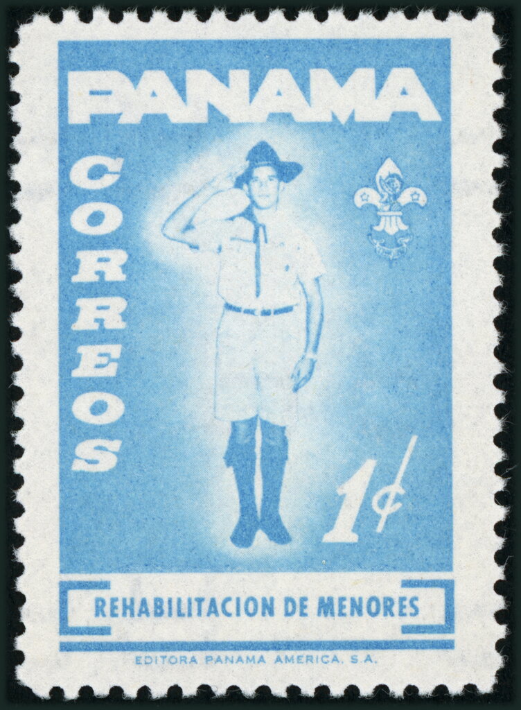 Scout