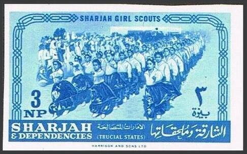 Guides marching