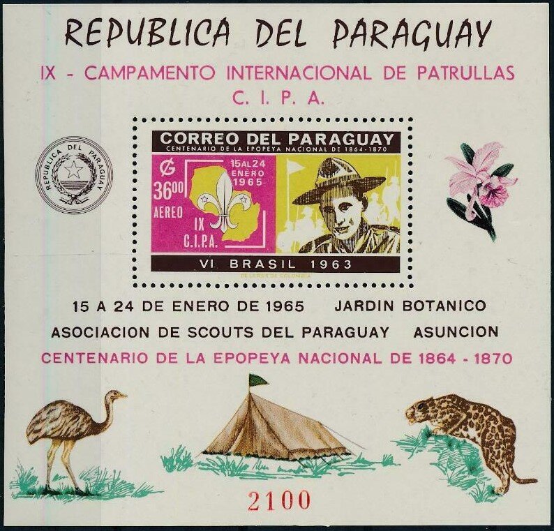 Souvenir sheet — Scout, VI Brazil 1963