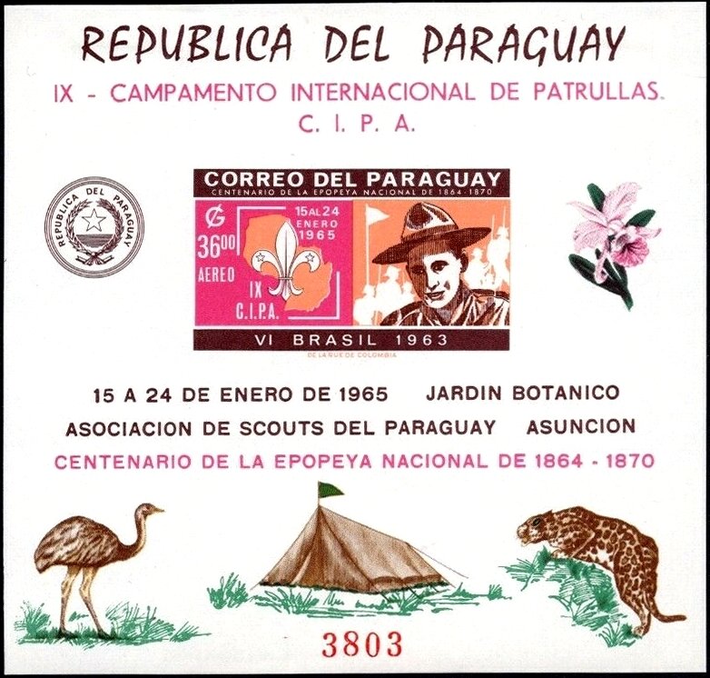 Souvenir sheet — Scout, VI Brazil 1963 (imperforate)