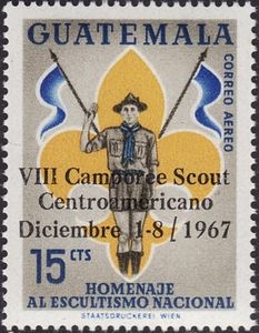 Scout saluting