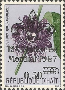 Passiflora quadrangularis — 0,50 on 0,03