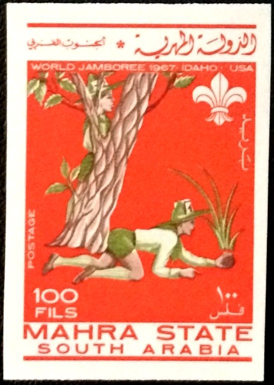 Two Scouts in the countryside