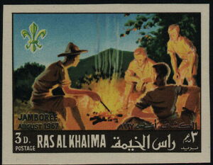 Scouts at a camp fire