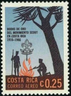 Campfire under palm tree