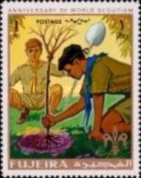 Scouts planting a tree