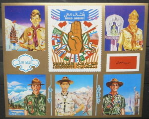 Oath hand and flags