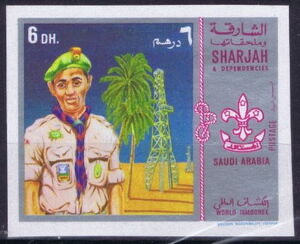 Scout from Saudi Arabia