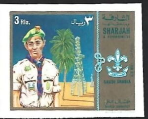 Scout from Saudi Arabia
