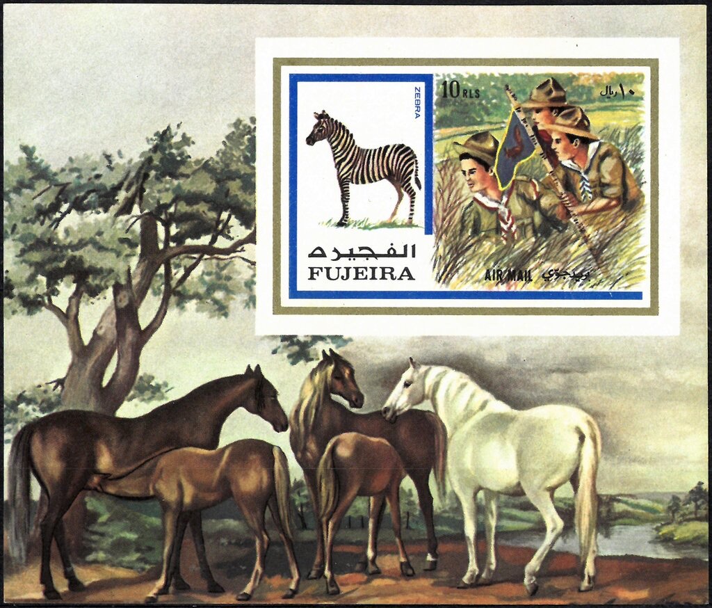 Scouts and zebra