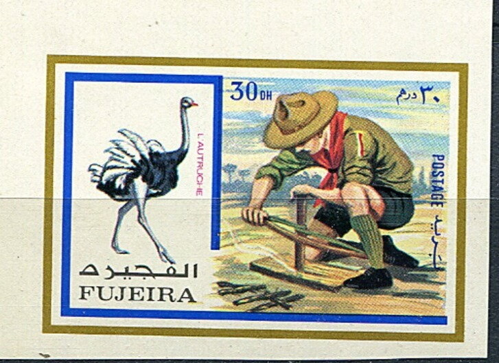 Ostrich and a Scout making fire