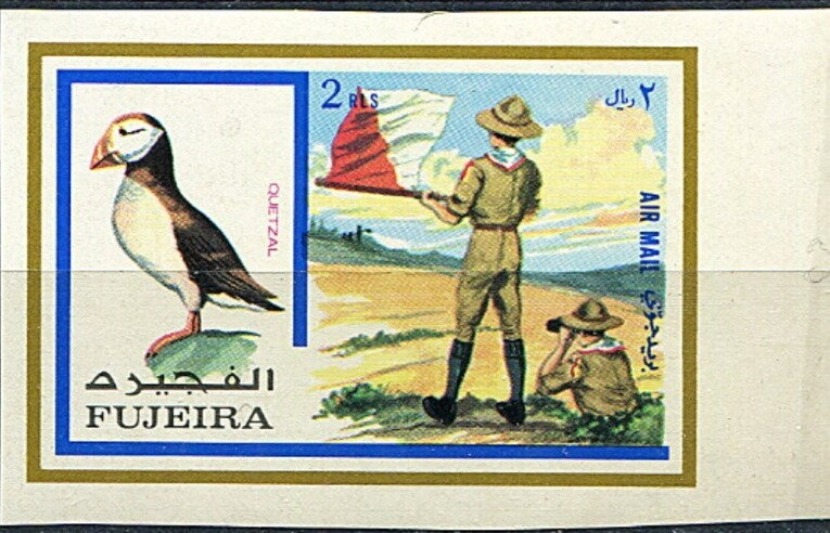 Atlantic puffin and Scouts signalling