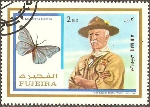 Giant Blue Morpho and Lord Baden-Powell