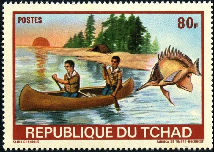 Scouts canoeing and fish