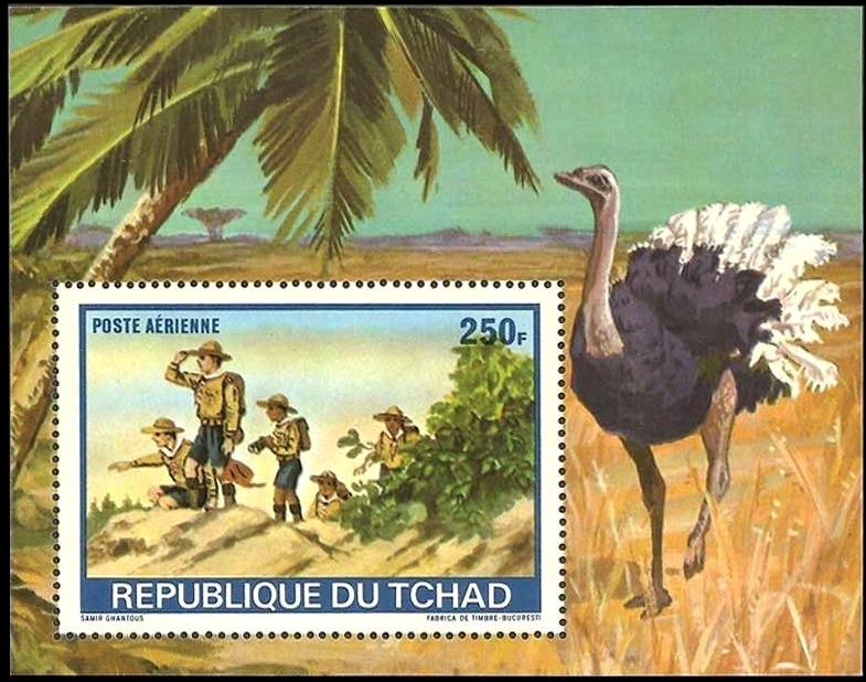 Scouts hiking and ostrich
