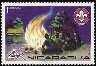 Camp-fire at night