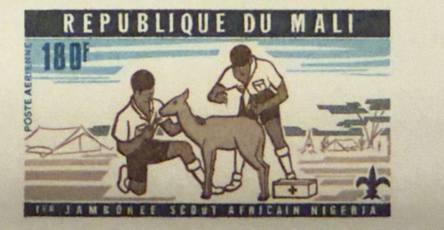 Scouts treating an animal, imperforate