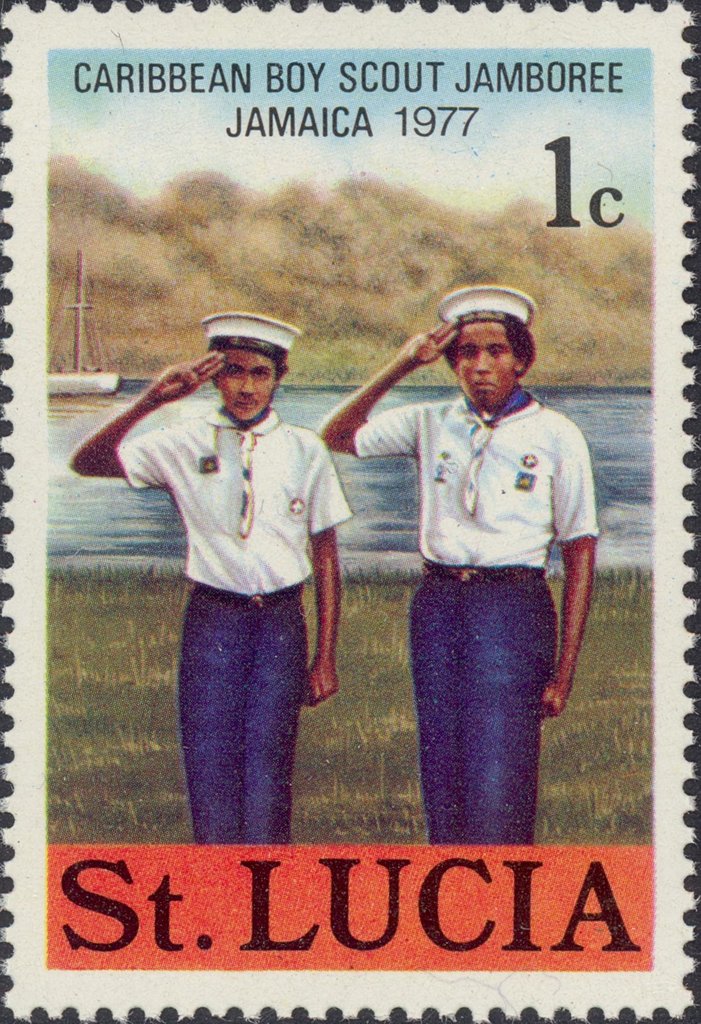 Sea Scouts saluting