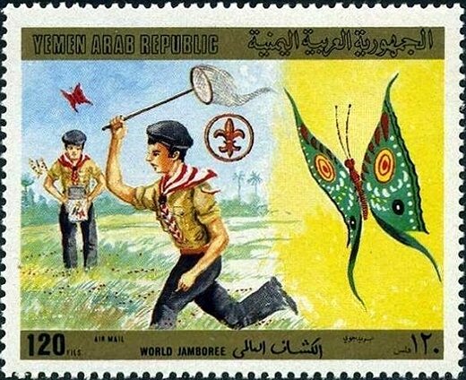 Scout with butterfly net