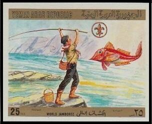 Scout fishing — imperforate