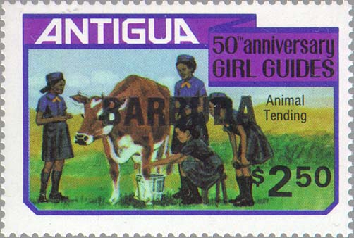 Animal tending — BARBUDA