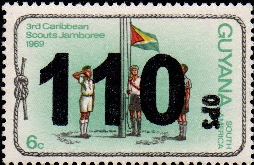 110 c on 6 c flag, official