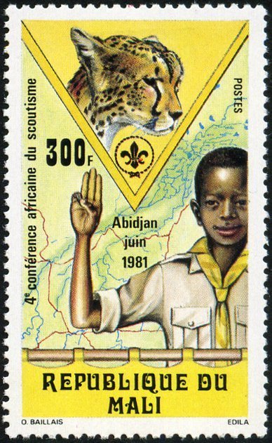 Scout salute and cheetah