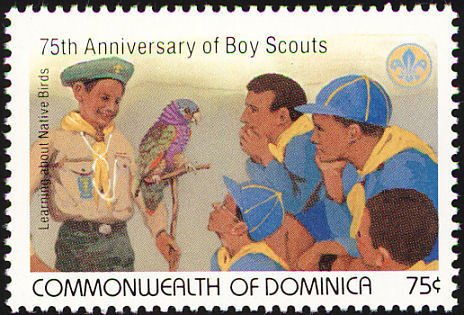 Sissertou Parrot,Cub Scout