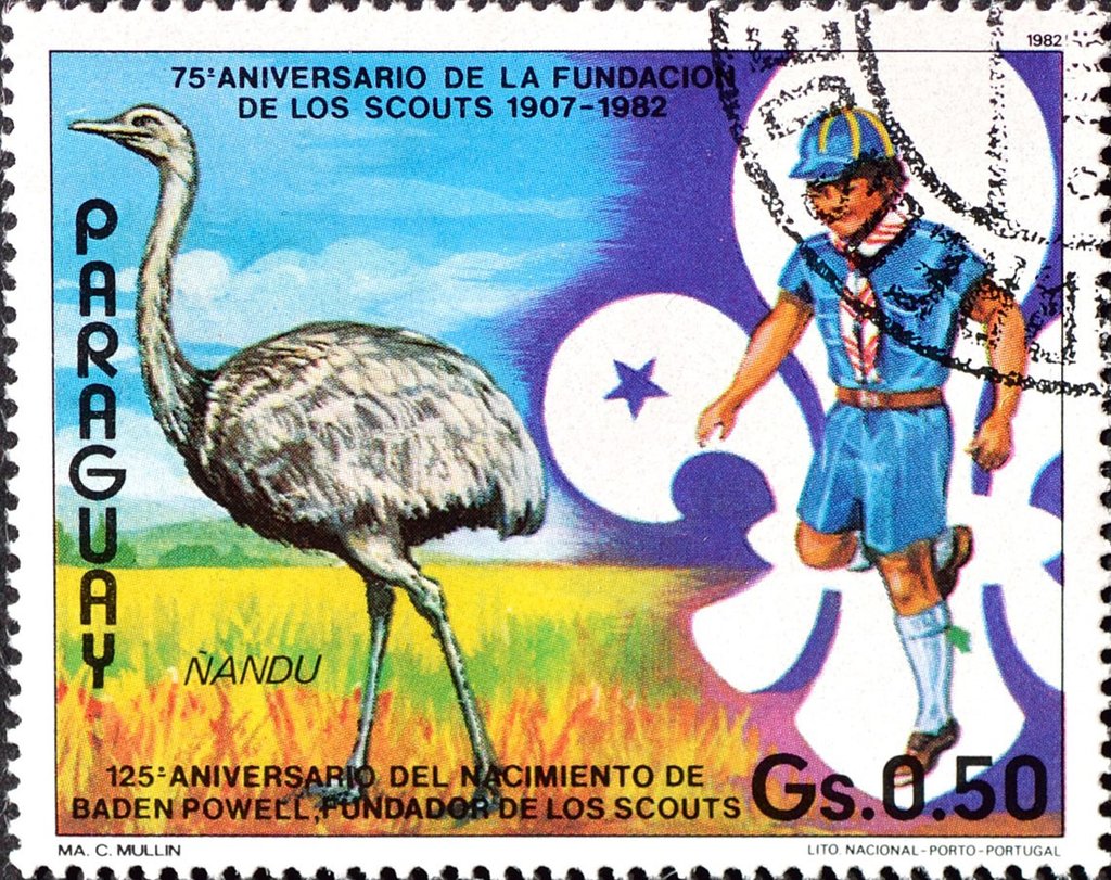 Greater Rhea (Rhea americana)