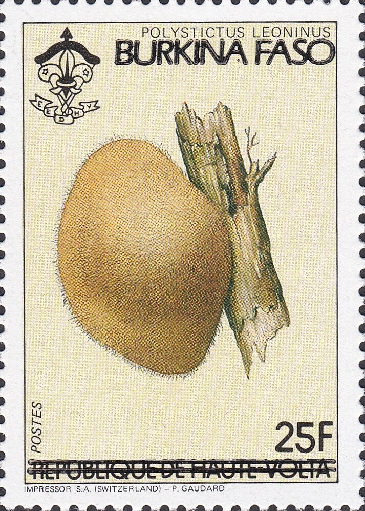 Polystictus leoninus overprinted “BURKINA FASO”