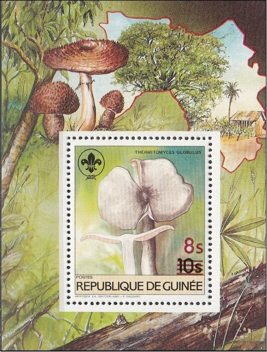 Thermitomyces globulus
